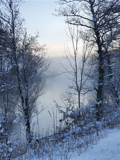 Bild uppladdad av Monica Carlsson