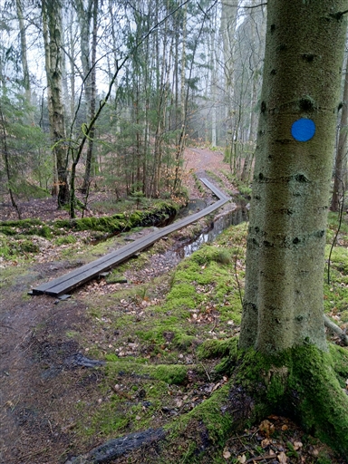 Bild uppladdad av Nicklas Nordborg