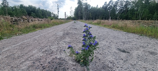 Bild uppladdad av Nicklas Nordborg