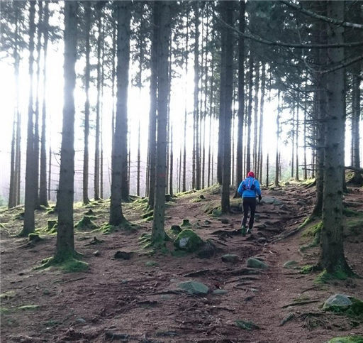 Bild uppladdad av Monica Carlsson