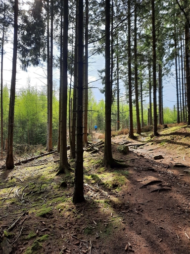 Bild uppladdad av Monica Carlsson