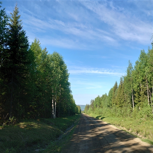 Bild uppladdad av Erik