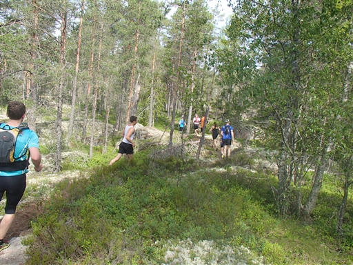 Bild uppladdad av Henrik Ortman