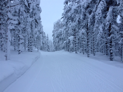 Bild uppladdad av Tobias J