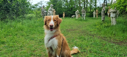 Bild uppladdad av Nicklas Nordborg