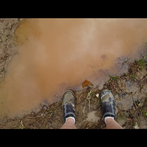 Bild uppladdad av Erik