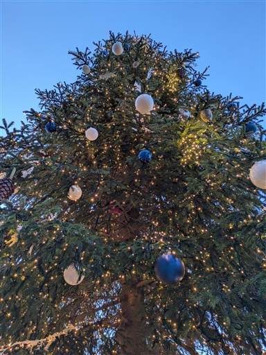 Bild uppladdad av Anna-Karin D