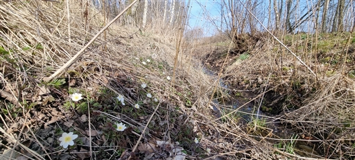 Bild uppladdad av Nicklas Nordborg