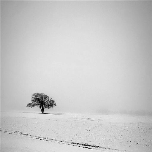 Bild uppladdad av Robert Frödin