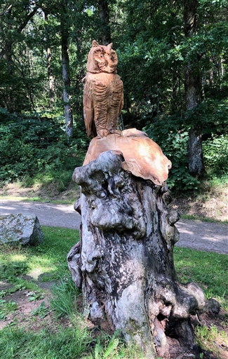 Bild uppladdad av Tony Elias